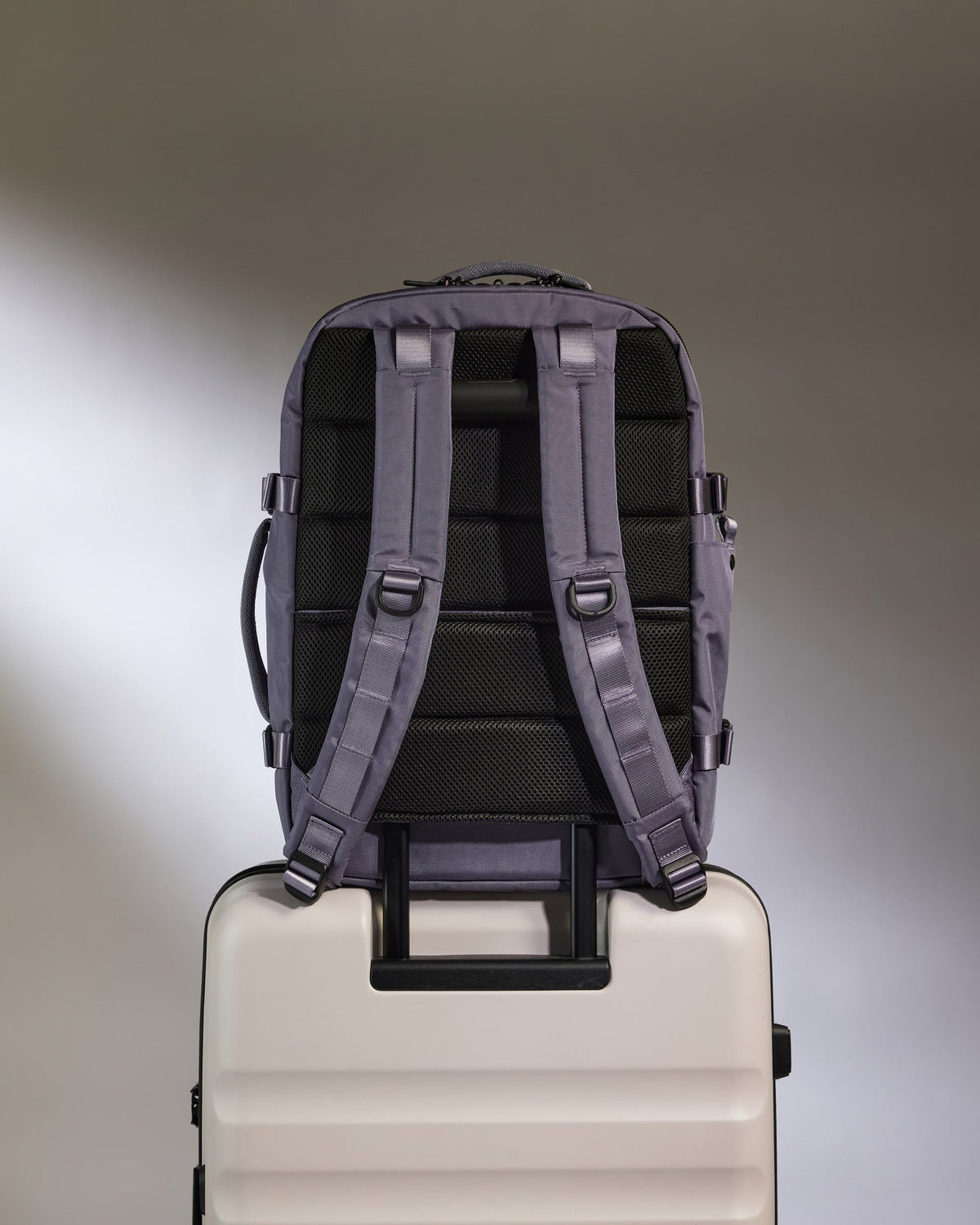 Discovery 28L Backpack in Meadow Purple