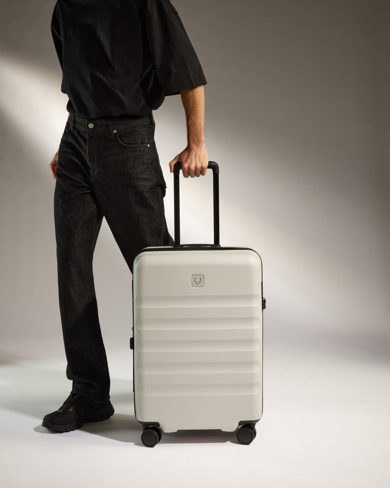 Medium Luggage in Taupe - Icon Stripe