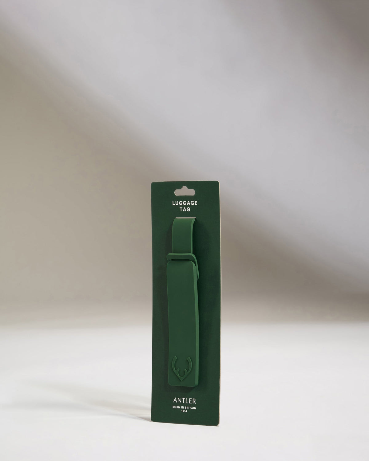 Luggage Tag in Green