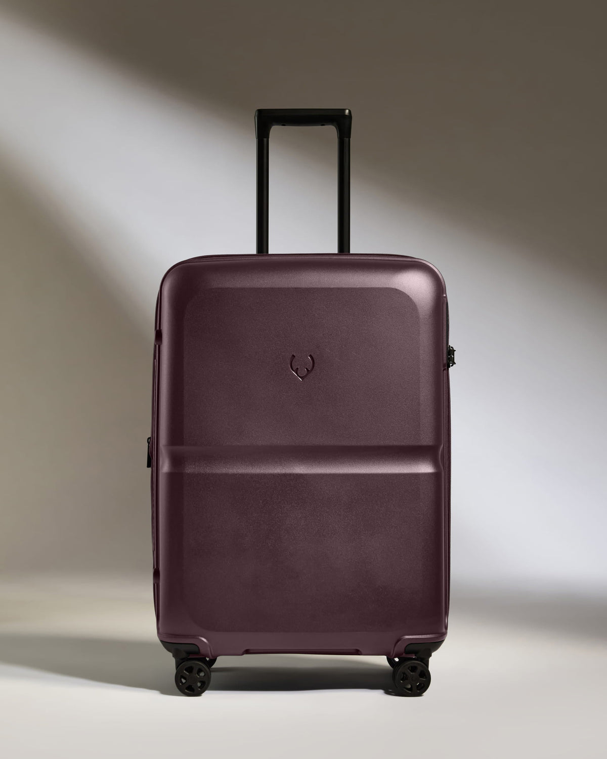 Medium Luggage in Lagoon Purple - Single Stripe