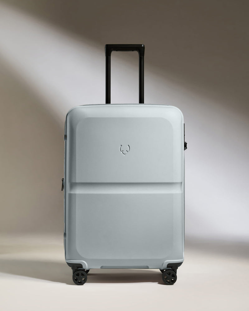 Medium Luggage in Salt Blue - Single Stripe