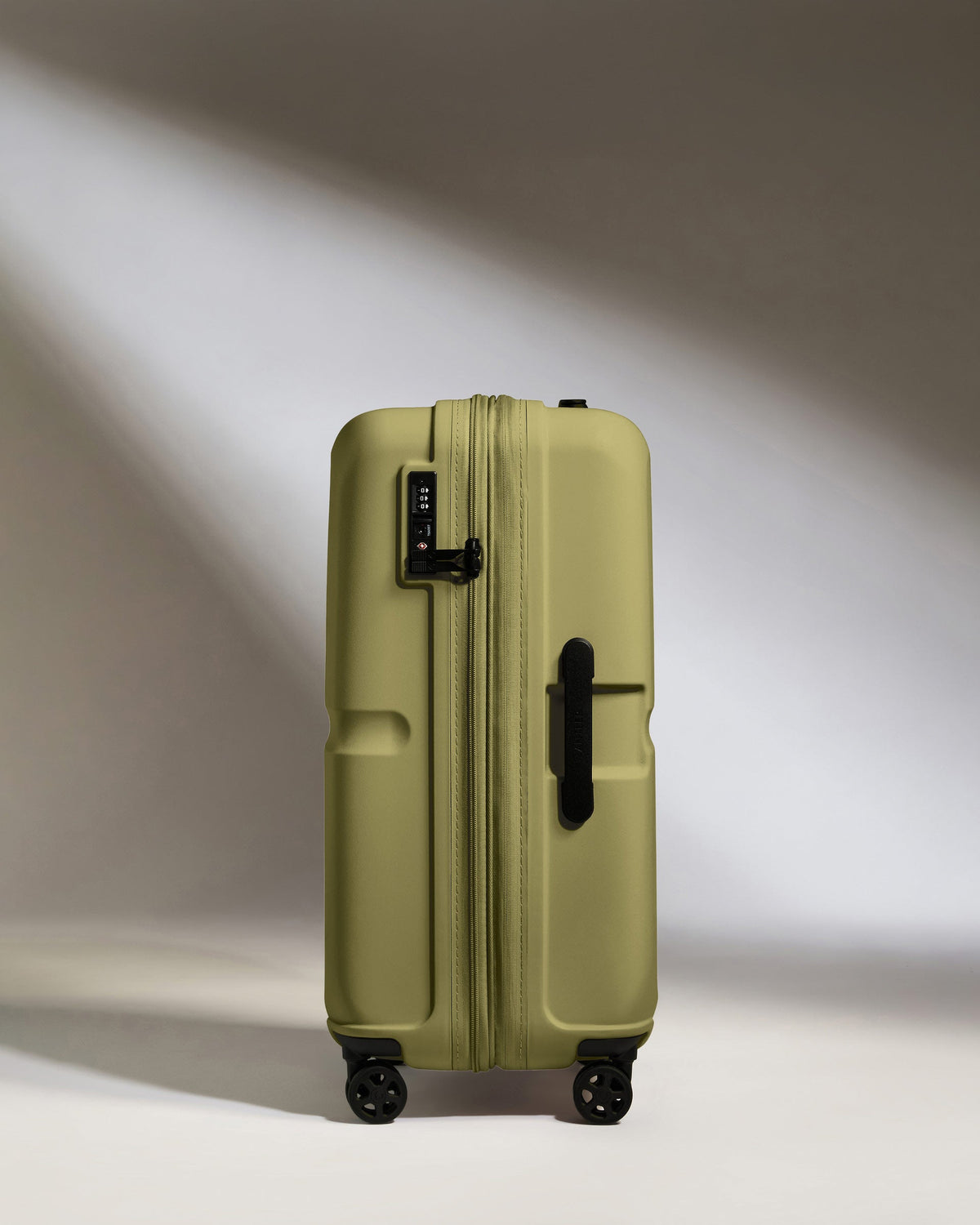 Medium Luggage in Reed Green - Single Stripe
