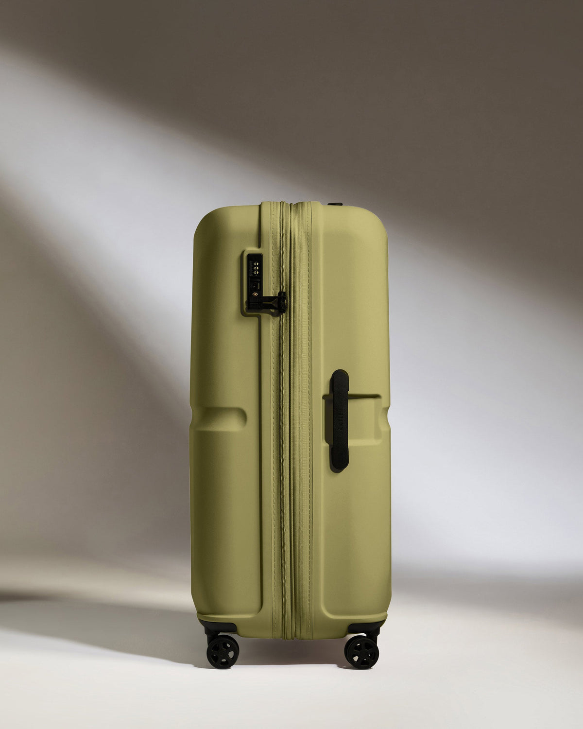 Large Luggage in Reed Green - Single Stripe