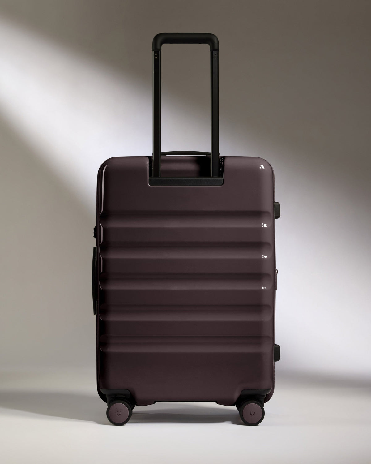 Medium Luggage in Hedgerow Gloss - Icon Stripe